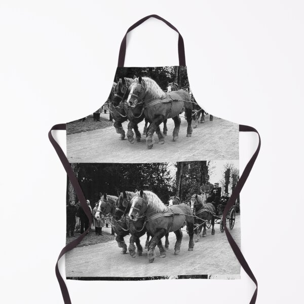 Item preview, r624/ silver time  " Open day at Haras de Saintes (17) France 1981 - Journée porte Ouverte au Haras de Saintes  " Okaio Créations Olavia-Olao designed and sold by o.okaïo.