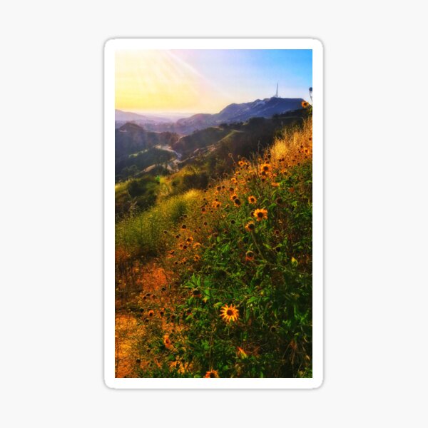 Griffith Park 4/19/17 #7 Sticker