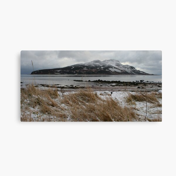 Holy Isle in winter Canvas Print