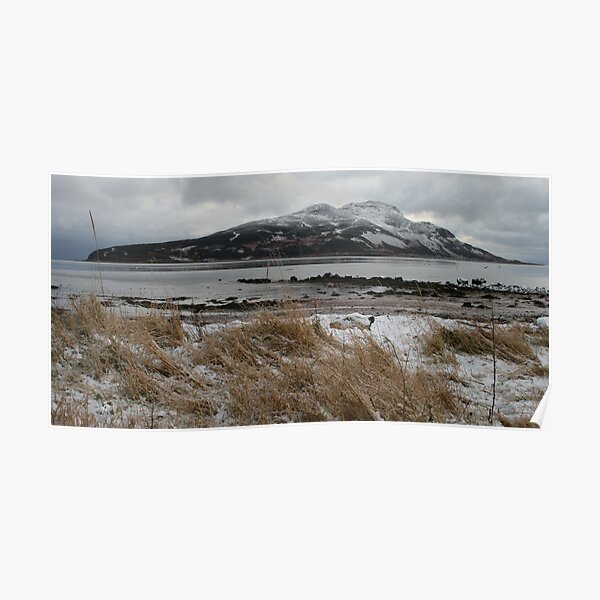 Holy Isle in winter Poster