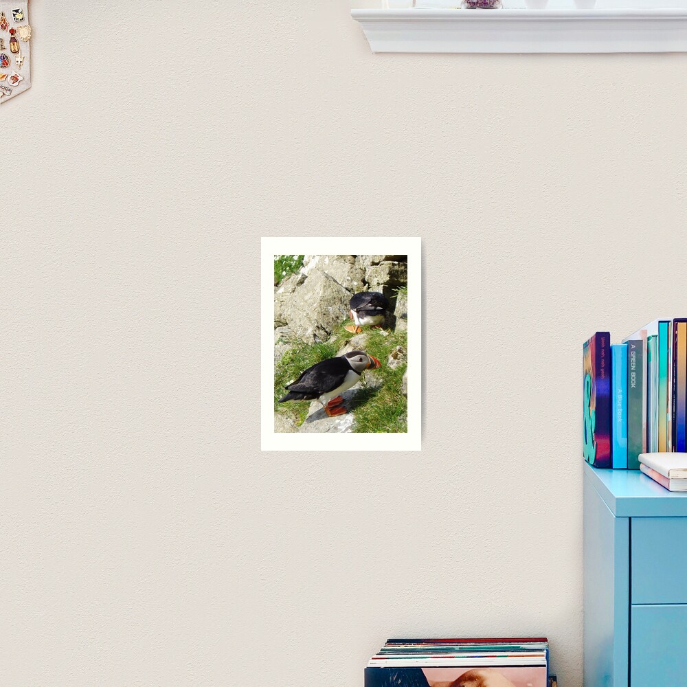 Puffin Hide-and-Seek Art Print