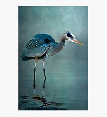 Blue Bayou Photographic Print