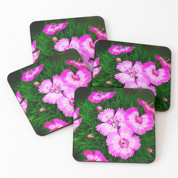 Item preview, Sweet William flower designed and sold by Araveen-Photo.