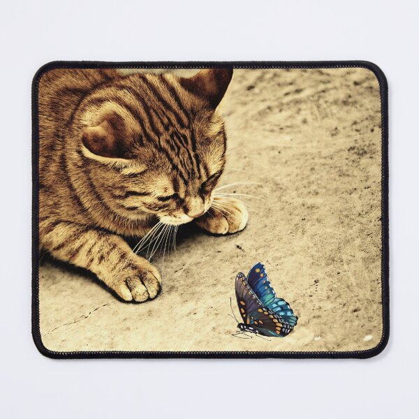 Item preview, kitten with butterfly designed and sold by celadonshop.