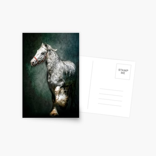 The Silver Gypsy Postcard