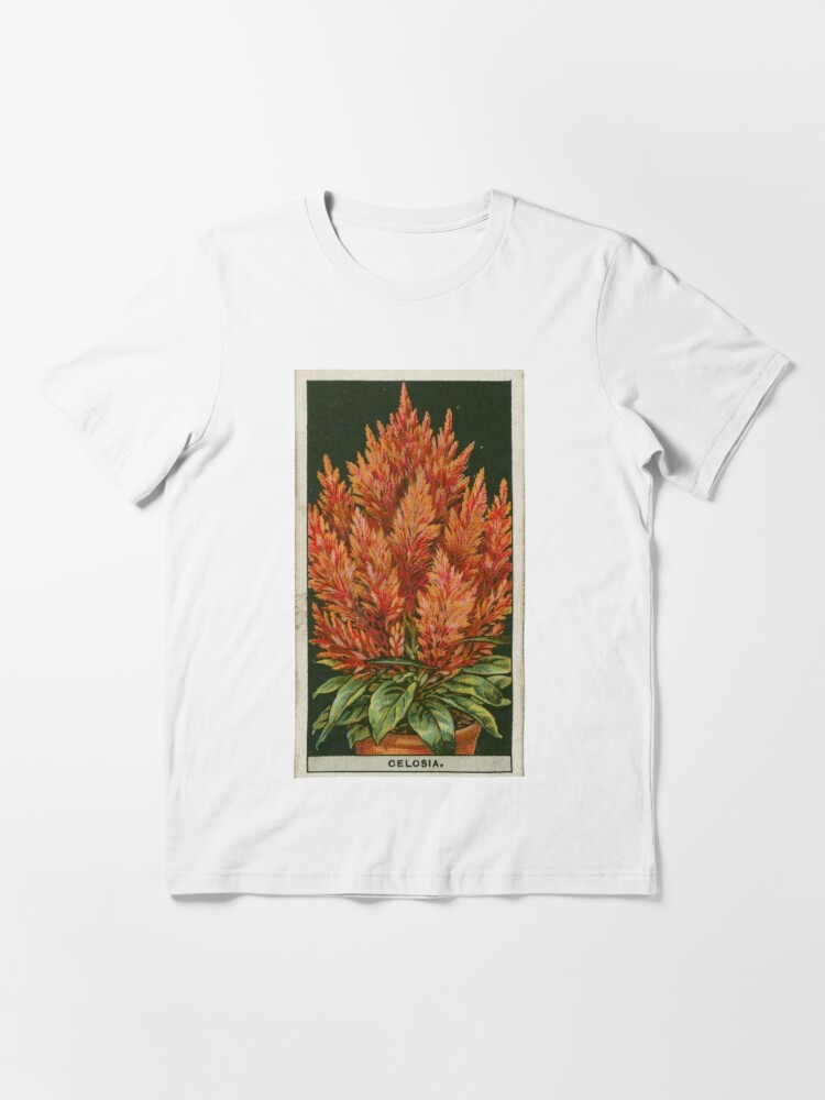 Celosia Flower SVG Sublimation T-Shirt Design 5