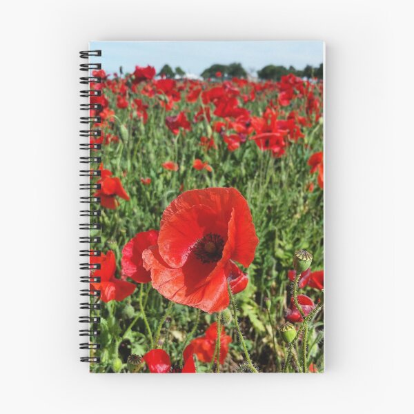 Aperçu de l'œuvre Coquelicots rouges créée et vendue par peoniesandsteel.