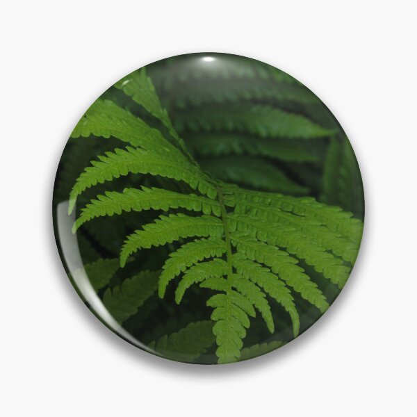 Item preview, The fern arrow designed and sold by Kris Careful.