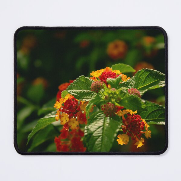Item preview, Summer Memories designed and sold by TheNinthMemory.