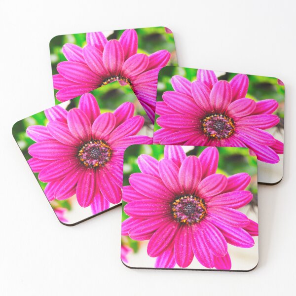 Item preview, Pink merigold flower designed and sold by Araveen-Photo.