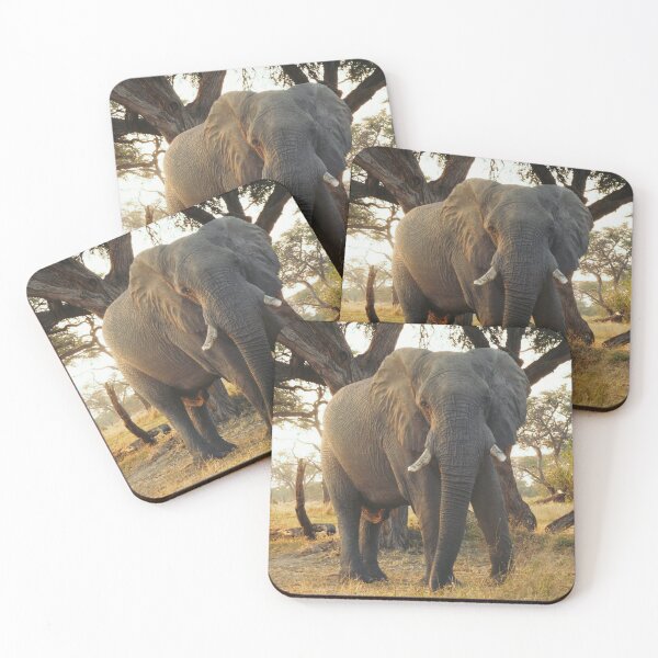 Item preview, African Bull Elephant from Kruger National Park. designed and sold by FishEagle.