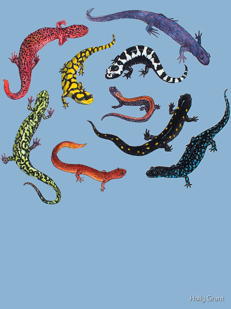 Salamanders