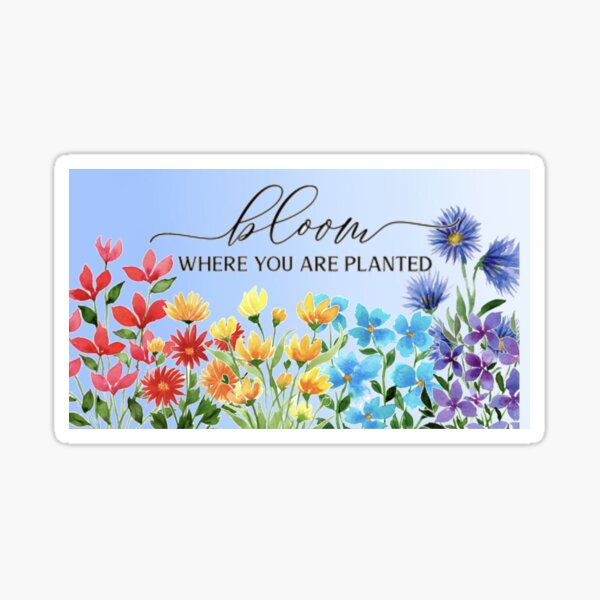 Bloom where you are planted Sticker for Sale by Design Dreamer