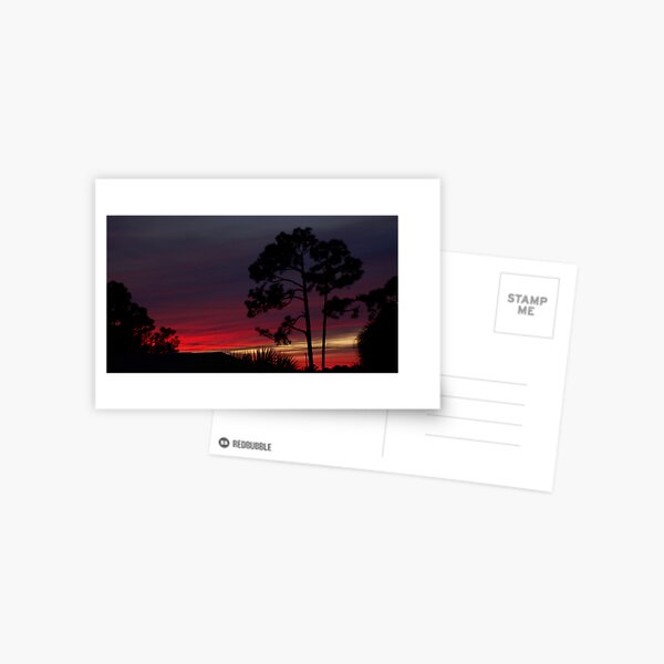 urban sunset Postcard