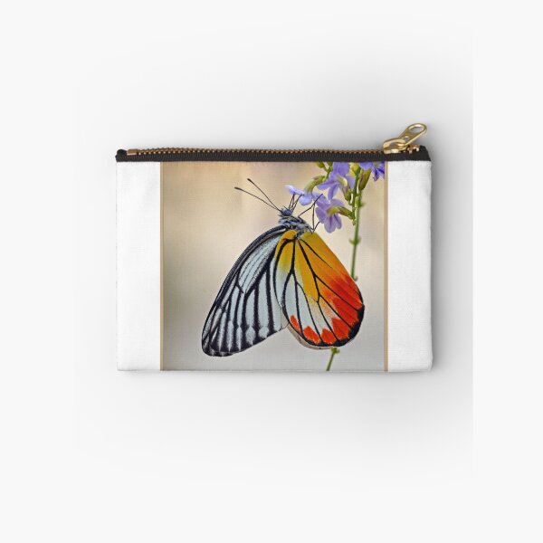 Aperçu de l'œuvre Painted Jezebel (Delias hyperete indice) (III) créée et vendue par DonMc.