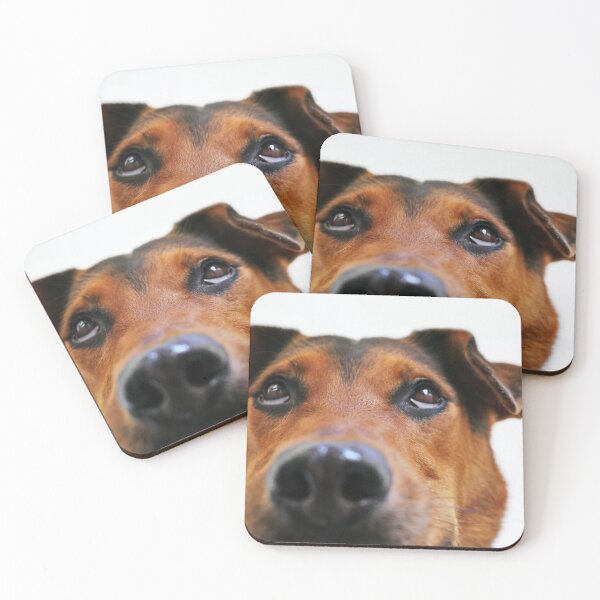 Item preview, Cute dog designed and sold by celadonshop.