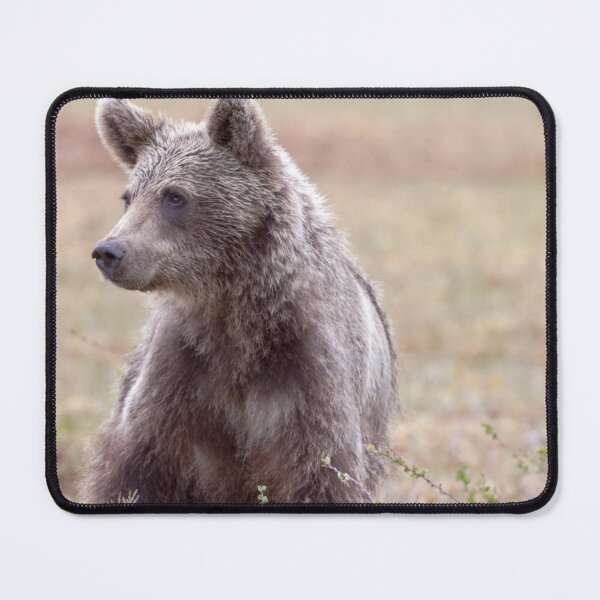 Item preview, SMALL BROWN BABY BEAR designed and sold by artflare.