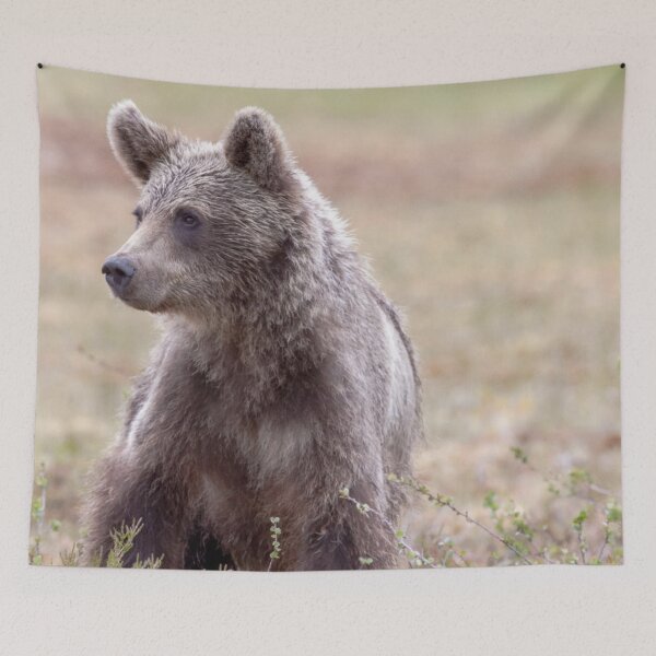 Item preview, SMALL BROWN BABY BEAR  designed and sold by artflare.