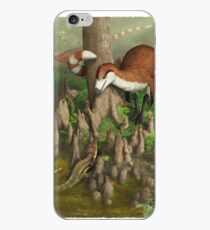 Patrolling the water's edge iPhone Case