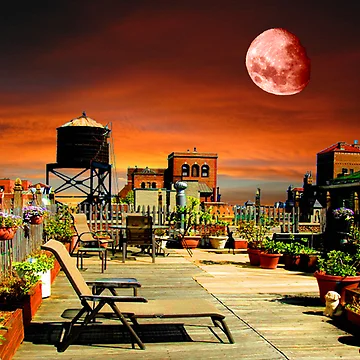 Artwork thumbnail, Red Moon Rising by Robxavier