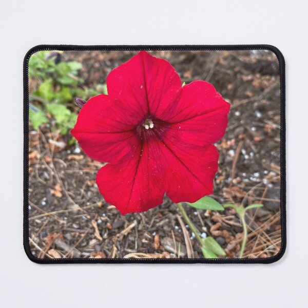Item preview, Red Bloom designed and sold by Izayo-Darke1.