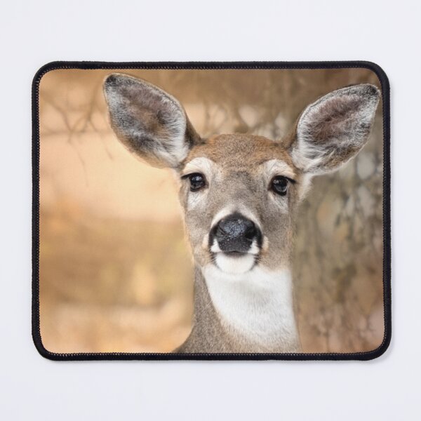 Item preview, Soft eyed doe designed and sold by JuniperMT.