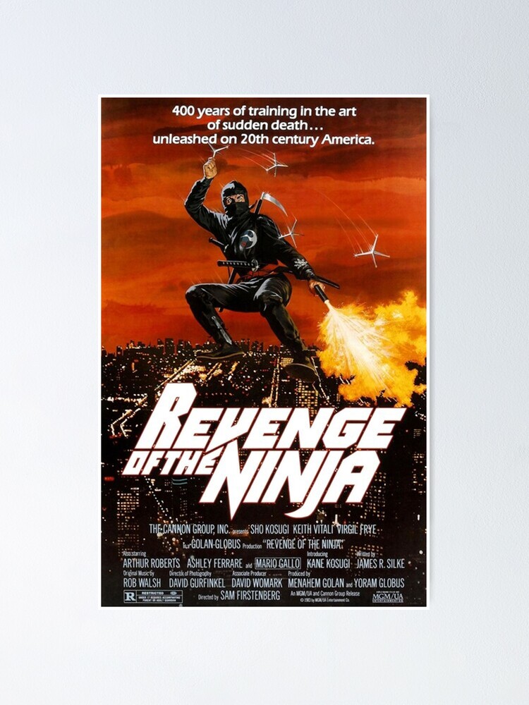 Ninja Assassin Movie Poster