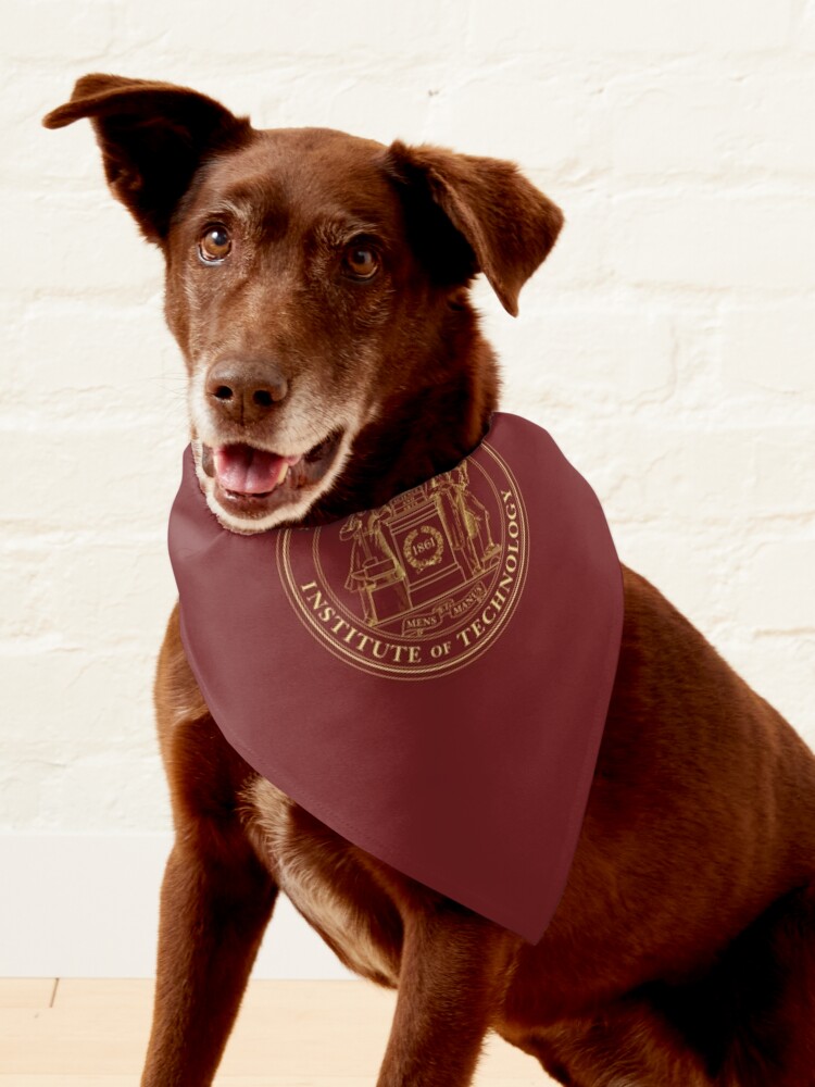 Harvard Dog Bandana – The Harvard Shop