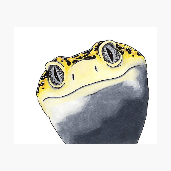 Item preview, Silly Leopard Gecko designed and sold by KellyZArtist.