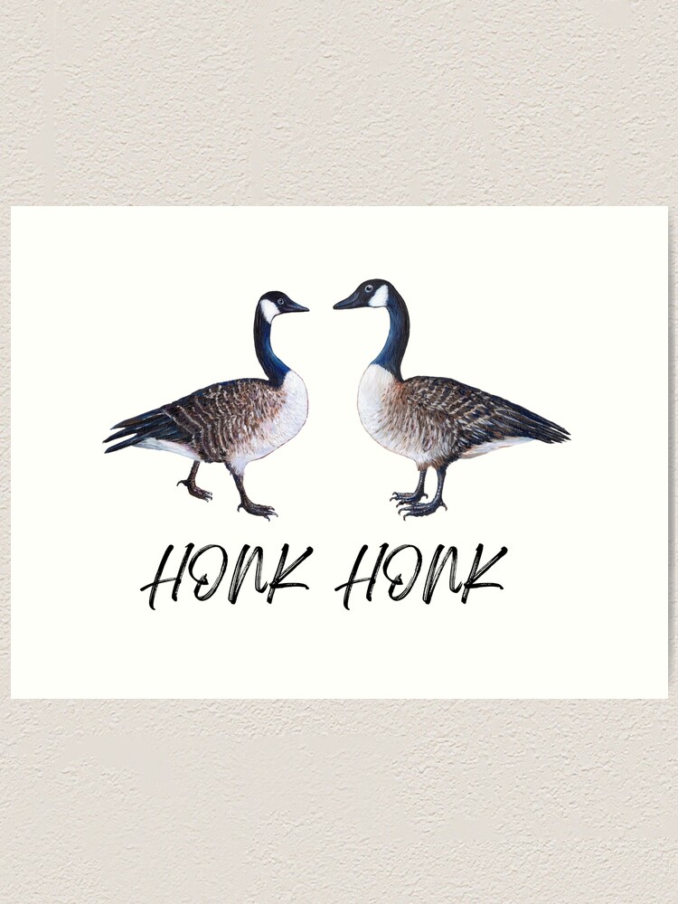 Canada Goose Honk Honk Art Print