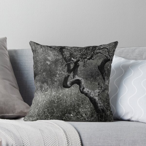 Item preview, Huerto de olivos, Salerno, Campania, Sur de Italia designed and sold by Ian Flindt.