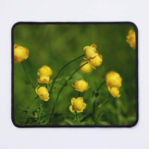 Item preview, 12 planets. Globeflower designed and sold by Jouko Lehto Photography.