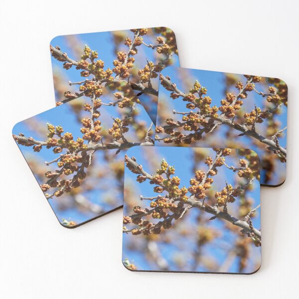 Item preview, The modest flowers of Sea-buckthorn designed and sold by Jouko Lehto Photography.