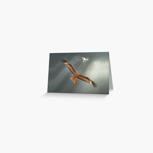 Item preview, Red Kite in a dramatic sky designed and sold by inspireyoureyes.