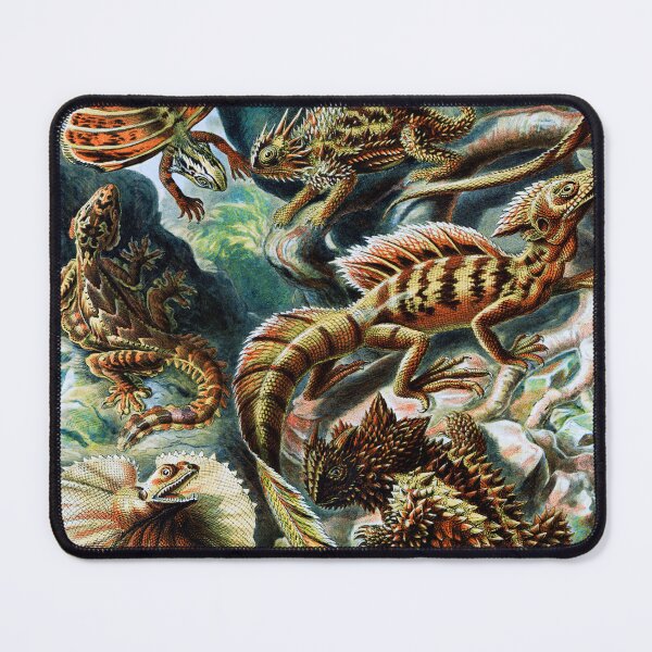 Item preview, Lacertilia–Eidechlen (Lizards) designed and sold by ChelleCreate.