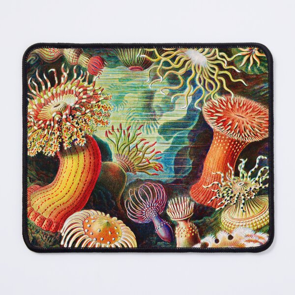 Item preview, Actiniae–Seeanemonen (Sea Anemones) designed and sold by ChelleCreate.