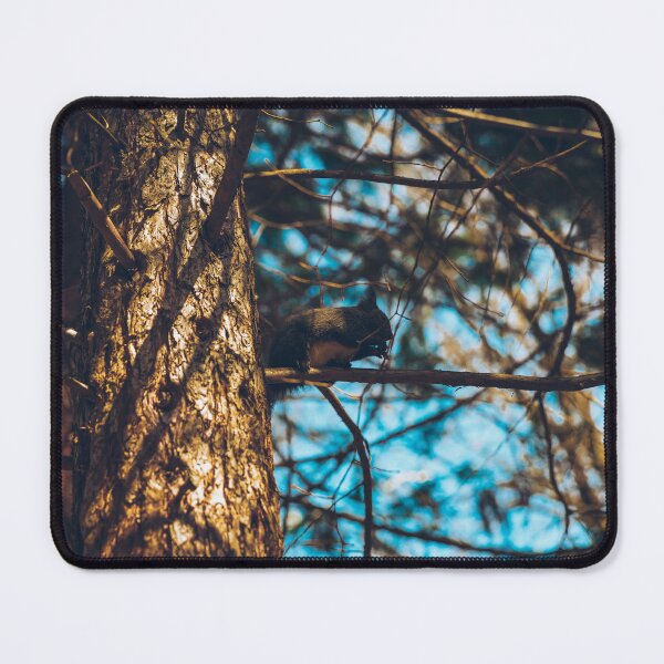 Item preview, Squirrel designed and sold by viknitov.