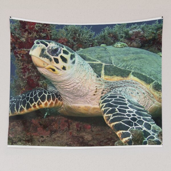 Item preview, Beautiful Sea Turtle with Barnacles Resting in Colorful Coral designed and sold by Caregiverology.