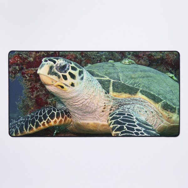 Item preview, Beautiful Sea Turtle with Barnacles Resting in Colorful Coral designed and sold by Caregiverology.