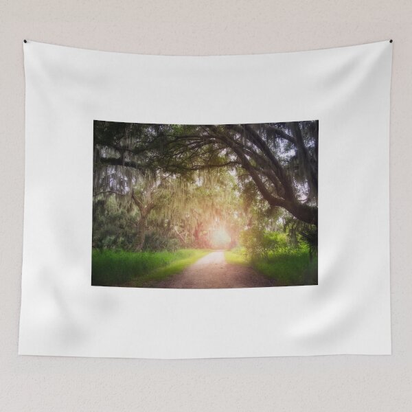 Item preview, Sunlit Trail designed and sold by Alla Gill.