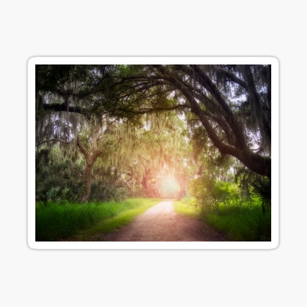 Item preview, Sunlit Trail designed and sold by Alla Gill.