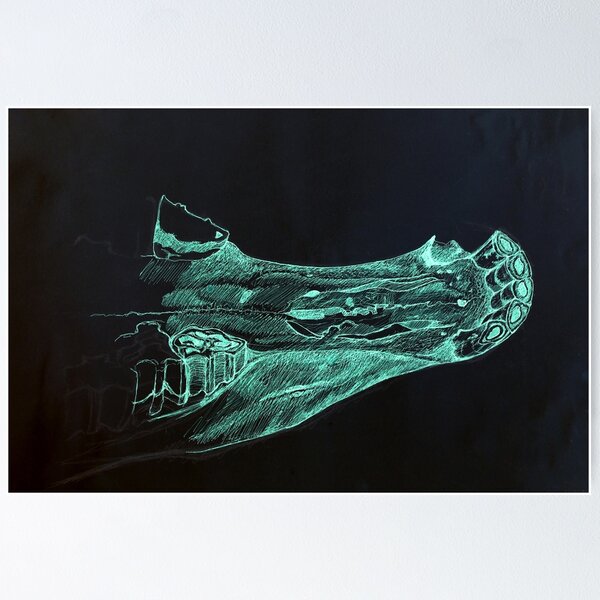 Item preview, Horse Skull Jaw designed and sold by PeterAndrew.