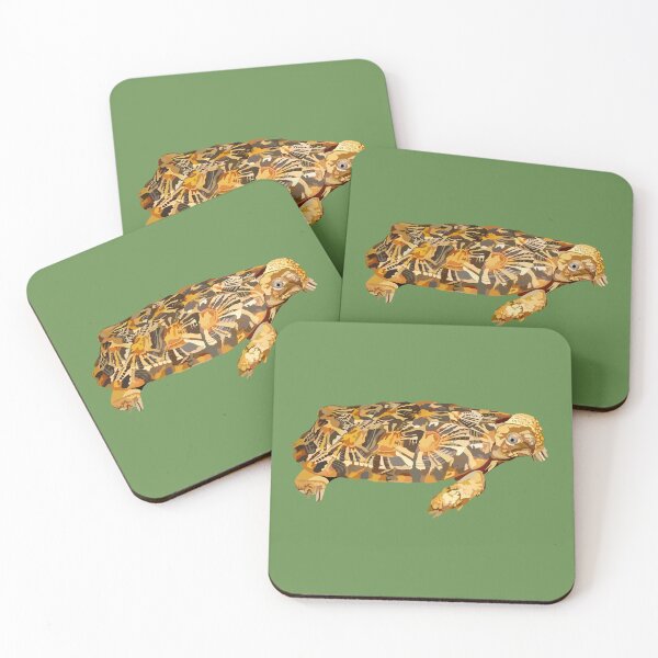 Item preview, P is for Pancake Tortoise,Pancake Tortoise Artwork – Unique Flat-Shelled Tortoise Illustration and Wildlife Design designed and sold by PrettylittlepastelUk.
