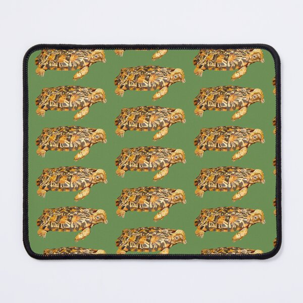 Item preview, P is for Pancake Tortoise,Pancake Tortoise Artwork – Unique Flat-Shelled Tortoise Illustration and Wildlife Design designed and sold by PrettylittlepastelUk.