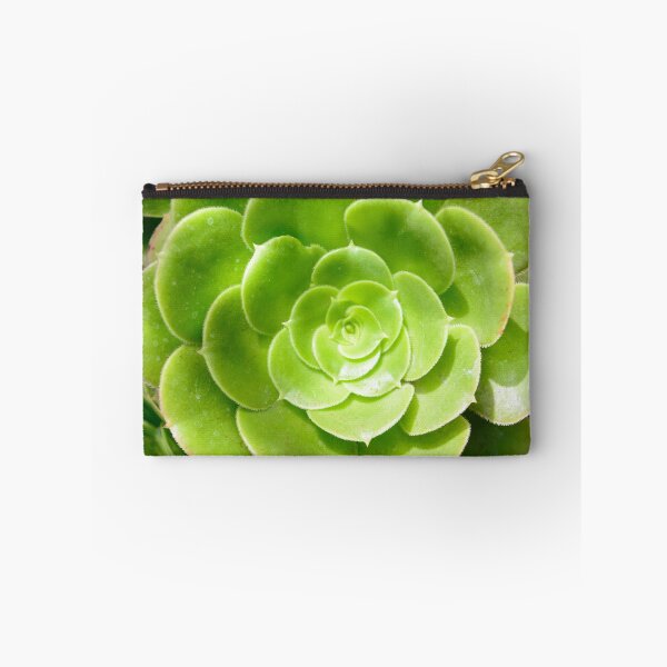 Item preview, Ecuadorean succulent designed and sold by raymona pooler.