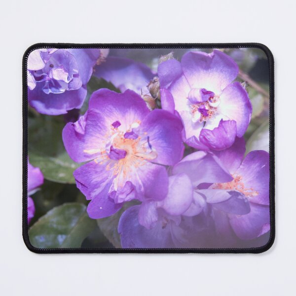 Item preview, Looking - A View designed and sold by Carl Gaynor.