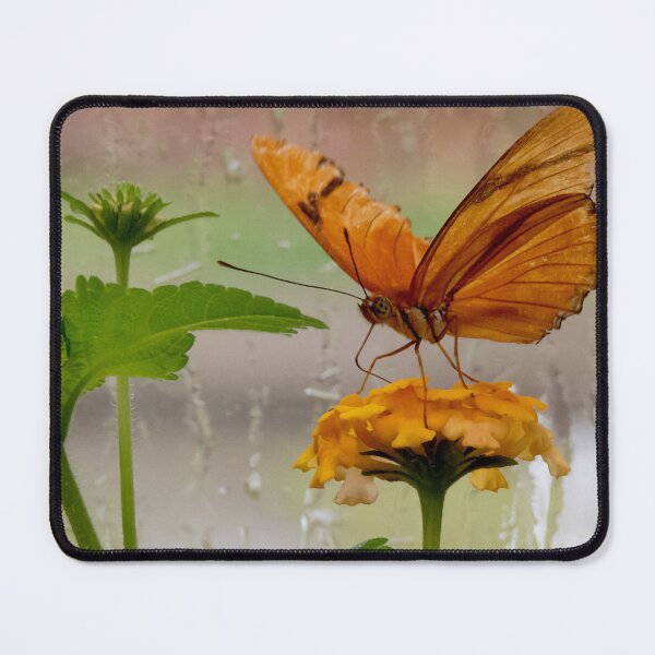 Item preview, Rainy Day Butterfly designed and sold by Roger Easley.