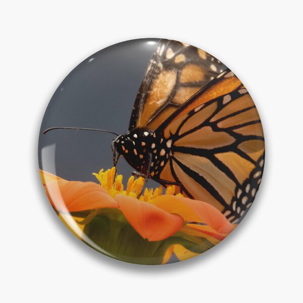 Item preview, Monarch Feasting designed and sold by Roger Easley.