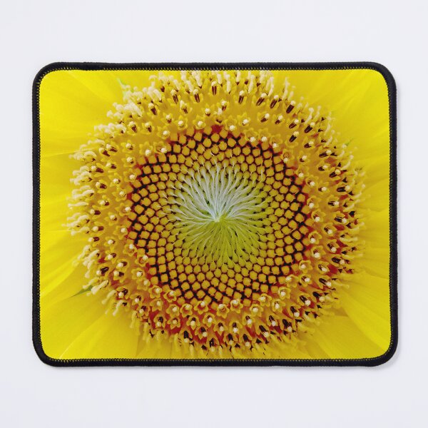 Item preview, Sunflower Spirals designed and sold by Roger Easley.