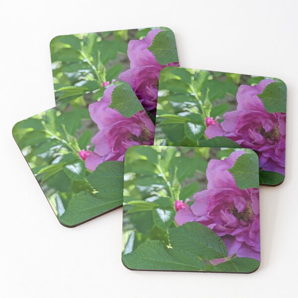 Item preview, The Pink Rose  designed and sold by Jkund19.